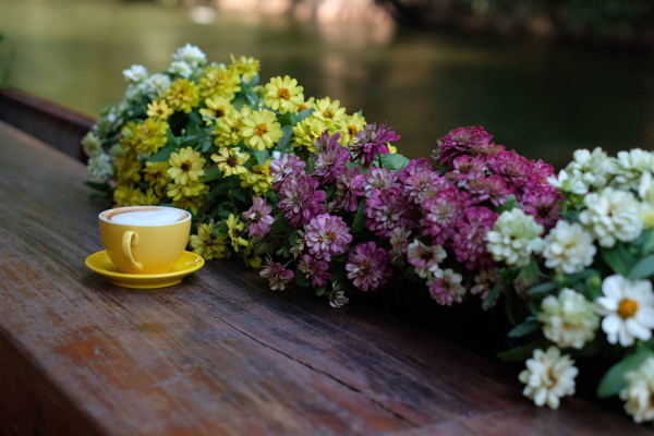 ที่พักแก่งกระจานสวยๆ
